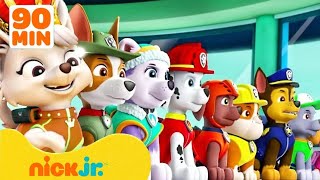 Patrulha Canina em Português Brasil Desenhos  Sky Chase Everest Salvam o Ryder l Nick Jr HD [upl. by Nlycaj937]