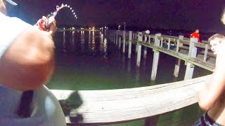 Fishing the Pascagoula pier Hooked up with a giant [upl. by Linkoski882]