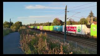 Norwegian Trains  Oslo S and Lindeberg  VY  Flytoget  SjNord  Freights [upl. by Abana]