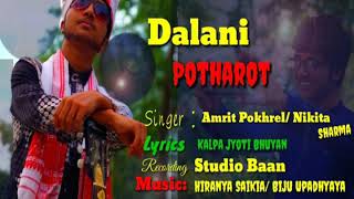 Dalani Potharot  NEW ASSAMESE SONG  Amrit Pokhrel  Nikitha Sharma  Album Apekshya [upl. by Mikel]