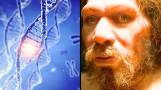 How Neanderthal Genome was Decoded   Science and Research Documented [upl. by Theall]