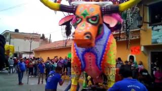 Desfile de toros Pirotecnicos [upl. by Auhsuoj]