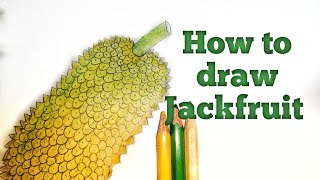 How to draw Jackfruit ll জাতীয় ফল কাঁঠাল। খুব সহজ এ আঁকা শিখুন [upl. by Meeki]