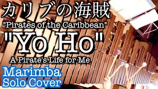 【カリブの海賊】『Yo Ho』 A Pirates Life for Me  Pirates Of The Caribbean  Marimba Solo Cover [upl. by Billy]