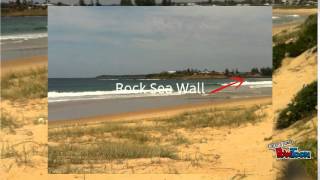 Warilla Beach Coastal Management [upl. by Havot]