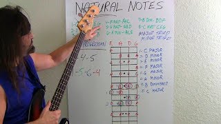 Bass Guitar For Beginners What Bassists Should Know [upl. by Fiden]