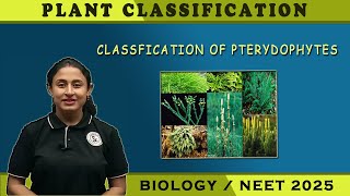 PLANT CLASSIFICATION CLASSIFICATION OF PTERYDOPHYTES  BIOLOGY  NEET [upl. by Avah982]