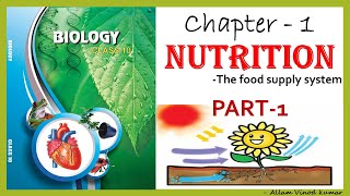 Nutrition  The Food Supply System 10th Biology Part 1 [upl. by Llatsyrc]