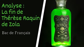 Analyse de lexcipit de Thérèse Raquin de Zola [upl. by Linell]