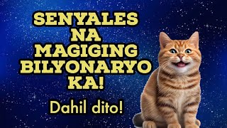 ⭐ Ang 16 na Dahilan Bakit Swerte ang Pusa sa Bahay [upl. by Riggs795]