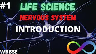 NERVOUS SYSTEM  INTRODUCTION  LIFE SCIENCE  WBBSE  PART 1 [upl. by Repsaj]