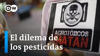 Agroquímicos ¿qué dice la ciencia  Programa completo [upl. by Elirpa]