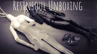 BJD Unboxing  Custom Resinsoul Bodies [upl. by Cirone]