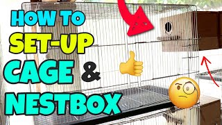 HOW TO SET UP CAGE amp NESTBOX PROPERLY FOR YOUR LOVEBIRDS  Breeding Cage Setup for Lovebirds [upl. by Niknar]