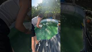 This Russian girl cleaned the swimming pool [upl. by Eylloh]