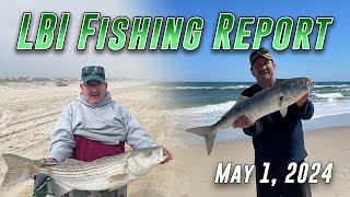 LBI Fishing Report May 1 2024  Surf Bass Bite Remains String [upl. by Orlantha]