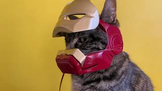 IRONMAN CAT helmet [upl. by Liatnahs]