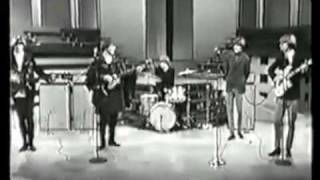 Top 5 Bands Of The 60s Classic Rock [upl. by Knarf399]