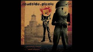 Roadside Picnic The Inspiration of Many [upl. by Hakaber257]