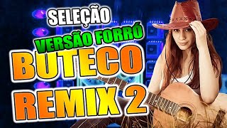 SELEÇÃO BUTECO REMIX 2  VERSÃO FORRÓ  SOM REMIX [upl. by Pablo]