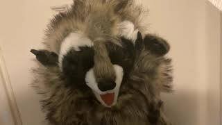 Baby Einstein Free to Use Clip  Raccoon Puppet by Folkmanis [upl. by Shig150]