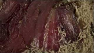 time lapse maggots eating meat HD [upl. by Wynnie]