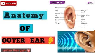 Outer Ear  External ear of human  Anatomy of ear  ear drum  anatomy amp physiology  tympanic [upl. by Palm]