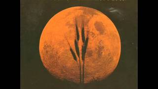 Harvest Moon  Neil Young [upl. by Aicertap]