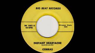 The Cobras  Instant Heartache 1967 Manic Garage Punk 45 Dyer Brook Maine [upl. by Bob752]