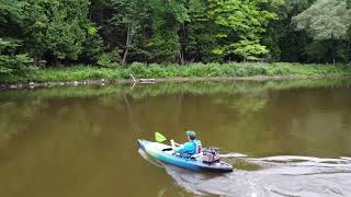 Kayaking  Muskegon River  Big Rapids  Michigan [upl. by Aerdnaed]