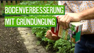 Gründüngung für das Beet im eigenen Garten  Der Grüne Tipp kompakt [upl. by Towroy]