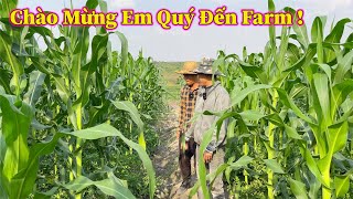 Linh Philip  Lần Đầu Tiên Trợ Lý Mới Xuất Hiện Trong Việt Phi Farm [upl. by Ahsenid]