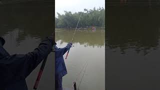 Throw single barashi bait fishing bigfish [upl. by Wiener]