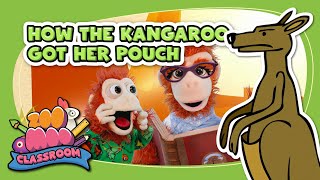 How The Kangaroo Got Her Pouch  ZooMoo  Story Time for Kids [upl. by Wolfgram]