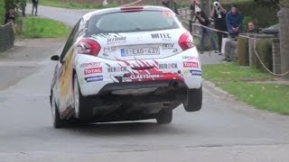 Rallye de Wallonie 2014 [upl. by Inman]