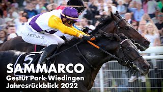 Sammarco amp Gestüt Park Wiedingen  Jahresrückblick 2022 [upl. by Nazus]