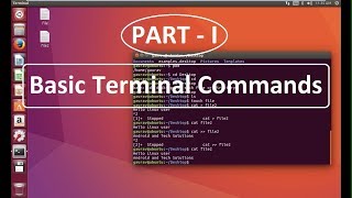 Basic Terminal Commands in Linux Ubuntu  Ubuntu tutorial for Beignners [upl. by Ioyal730]