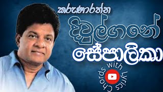 සේපාලිකා  Karunarathna Divulgane Song chords lyrics guitar relaxMusic BP Music [upl. by Suoivart]