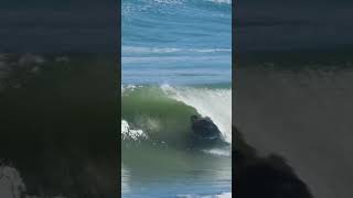 The Bodyboarding Basics bodyboarders bodyboarding bodyboarder boogieboarding bodyboarding2023 [upl. by Ardnik]