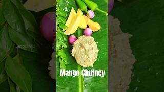 Mango Chammanthi Mango chutney foodshorts mangochatni mangorecipe chutneyrecipe [upl. by Nelly]