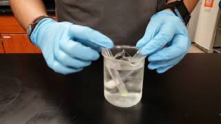 Lactase enzyme lab at 0°C [upl. by Anih]