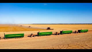 Erangy Farms taking off a bumper crop with four 45 headers combines in the Mid West of WA [upl. by Nonnah]