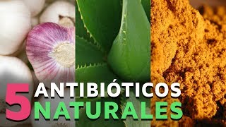 5 Poderosos antibióticos naturales [upl. by Kenaz]