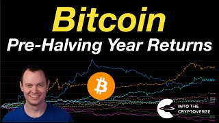 Bitcoin PreHalving Year Returns [upl. by Alrats]