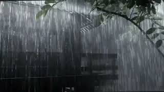 Rain Sounds for Sleeping  Relaxing Rain Sounds for SleepFall asleep fast in 3 mins [upl. by Layod]