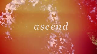 Ascend Official Lyric Video  William Matthews  Tides [upl. by Flin903]