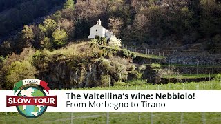 Valtellinas wine  Il Nebbiolo e gli altri vini della Valtellina  Italia Slow Tour [upl. by Sielen]