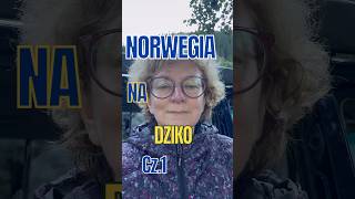 Norwegia na dziko Wakacje w camperze [upl. by Anreval717]