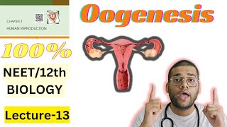 Oogenesis Class 12thNEET Oogenesis with notes for Board and NEET students Human Reproduction L13 [upl. by Arahk786]