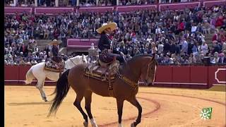 Real Maestranza de Caballería de Sevilla Medalla de Andalucía 2020  Enganches de Sevilla 2018 [upl. by Innep]